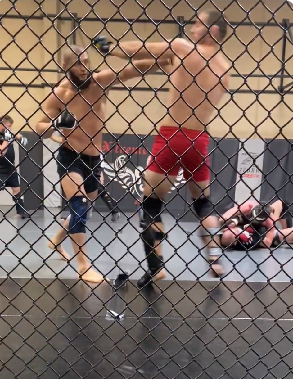 شيماييف يشعل الأجواء قبل UFC 328 بنشر مقطع تدريبي قديم مع ستريكلاند