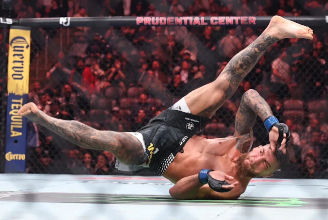 ياروسلاف أموسوف يواصل التألق في UFC 328.. إخضاع سريع واحتفال استثنائي بعد إسقاط جويل ألفاريز