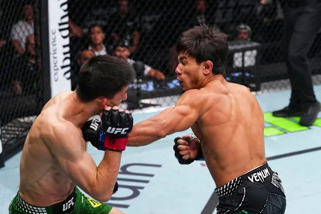 مقاتلو UFC يعلقون على الضربة القاضية المدمرة لرمضان تيميروف ضد ستيف إرسغ في عرض UFC Abu Dhabi